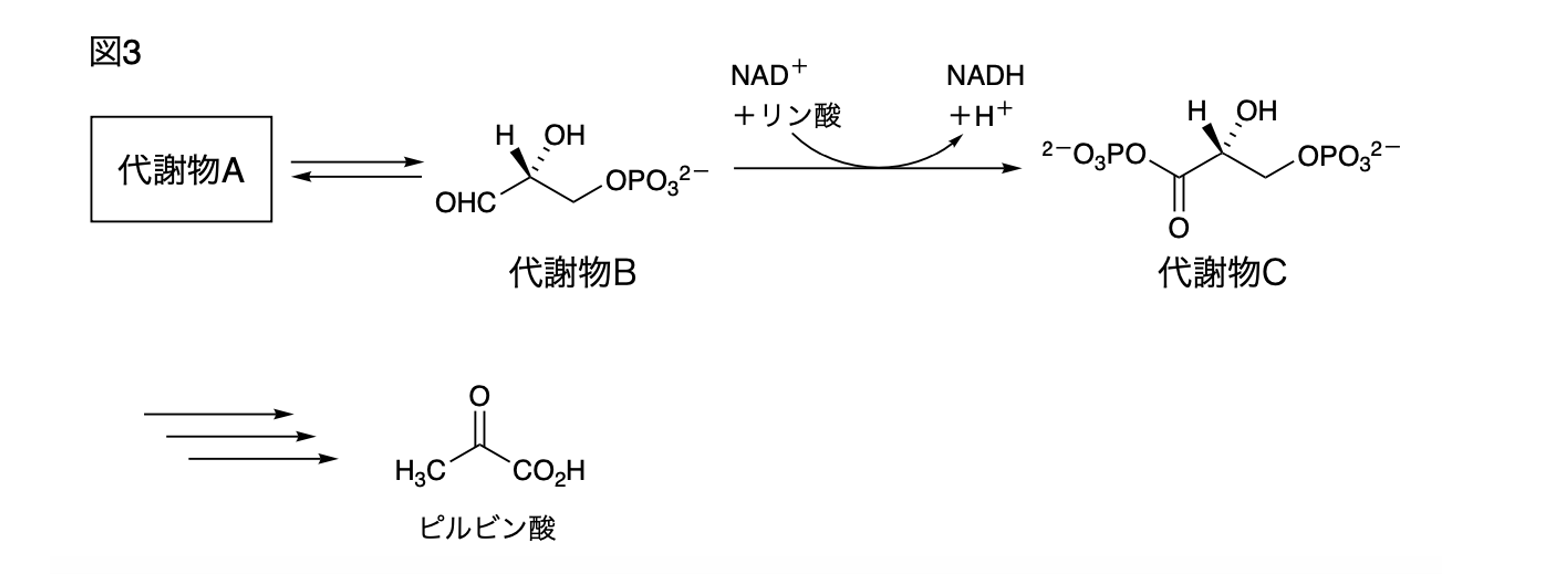 解説画像